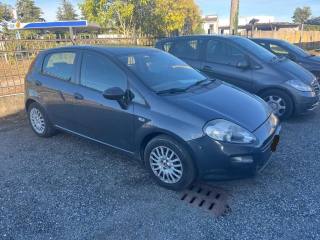 FIAT Punto usata, con Airbag