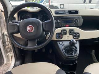 FIAT Panda usata 14