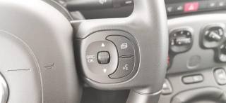 FIAT Panda usata 41