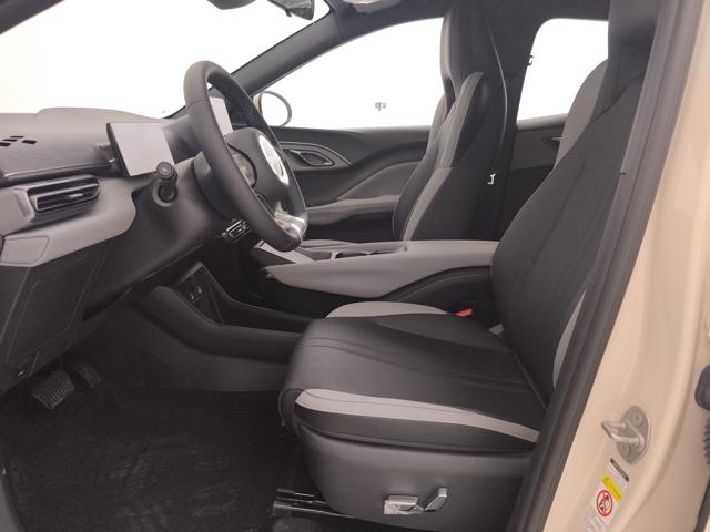BYD Dolphin Surf usata, con Cruise Control