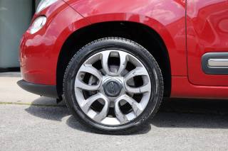 FIAT 500L usata 99