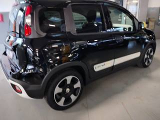 FIAT Panda usata, con Immobilizzatore elettronico