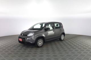 FIAT Panda usata 6
