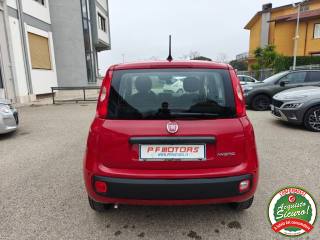 FIAT Panda usata, con Airbag Passeggero