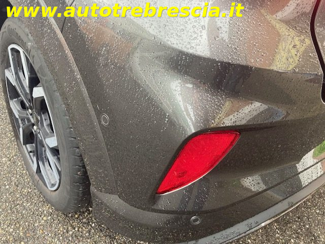 FORD Puma usata, con Controllo vocale