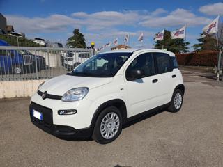 FIAT Panda usata, con Airbag
