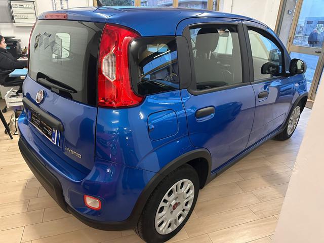 FIAT Panda usata, con Antifurto