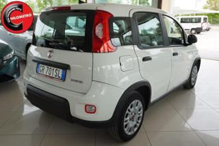 FIAT Panda usata, con Airbag Passeggero