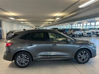 FORD Kuga usata, con Controllo automatico clima