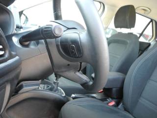 FIAT Tipo usata, con Airbag testa