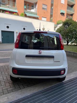 FIAT Panda usata, con Airbag Passeggero