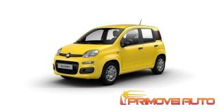 FIAT Panda 1.0 FireFly 65 CV Hybrid Pop