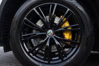 ALFA ROMEO Stelvio usata, con Filtro antiparticolato
