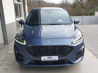 FORD Kuga ST-Line X 2.0 EcoBlue 120cv Automatica A8 2WD
