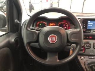 FIAT Panda usata, con Airbag testa