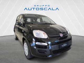 FIAT New Panda usata, con Autoradio