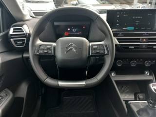 CITROEN C4 usata, con Specchietti laterali elettrici