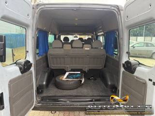 FORD Tourneo usata 15