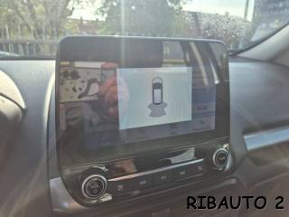 FORD EcoSport usata, con Volante in pelle