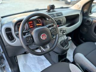FIAT Panda usata, con Chiusura centralizzata