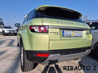 LAND ROVER Range Rover Evoque usata 48