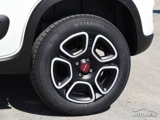 FIAT Panda usata 38