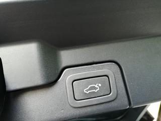 LAND ROVER Range Rover Evoque usata, con Vetri oscurati