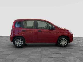 FIAT Pandina usata 4