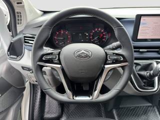 MAXUS Other usata 10