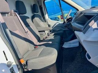 FORD Transit usata, con Fendinebbia