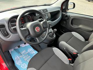FIAT Panda usata, con Antifurto