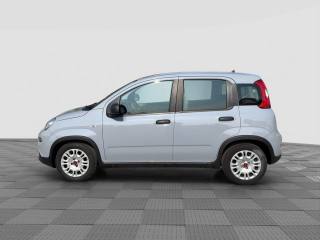 FIAT Panda usata 1