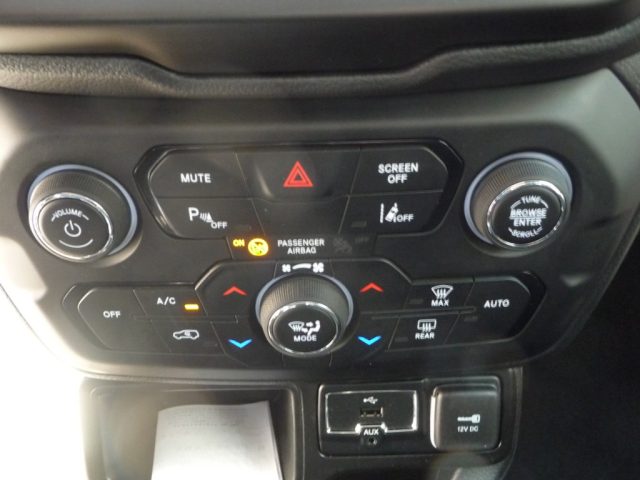 JEEP Renegade usata, con Cerchi in lega