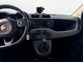 FIAT Panda usata, con Bluetooth
