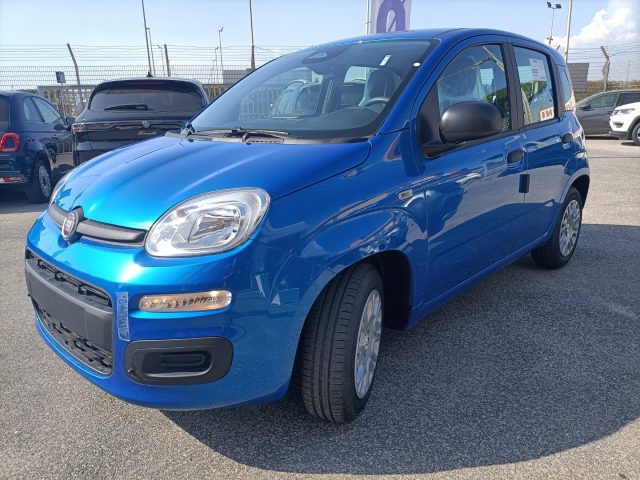 FIAT Panda usata, con Airbag Passeggero