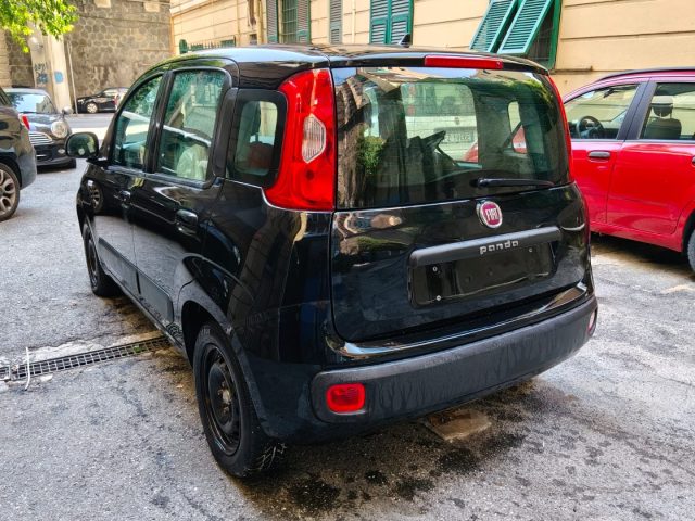 FIAT Panda usata, con Airbag Passeggero