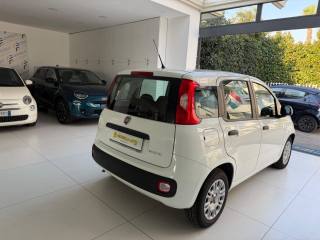 FIAT Panda usata, con USB