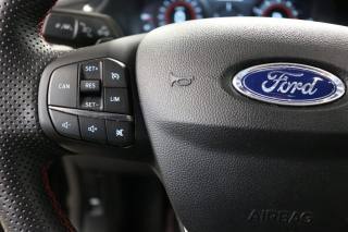 FORD Puma usata, con Bracciolo