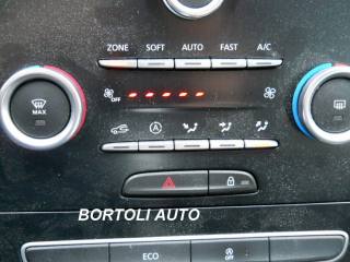 RENAULT Scenic usata, con Cruise Control