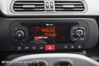 FIAT Panda usata 16