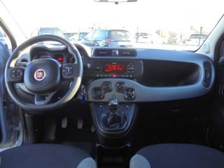 FIAT Panda usata 24