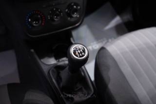 FIAT Punto usata 17