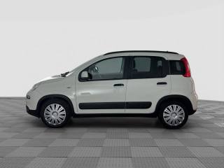 FIAT Panda usata 1