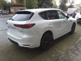 MAZDA CX-60 usata, con Interni in pelle