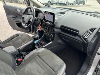 FORD EcoSport usata, con Fendinebbia