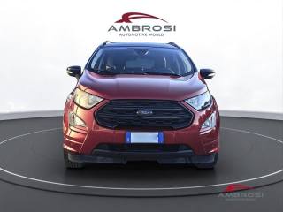FORD EcoSport usata 6
