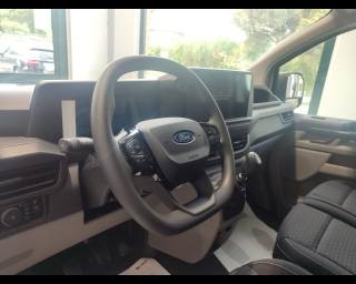 FORD Transit Custom usata 25