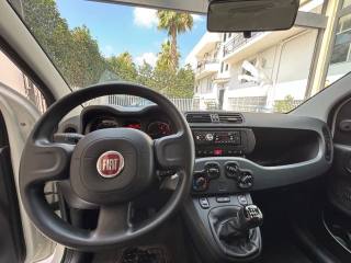 FIAT Panda usata, con Ruotino