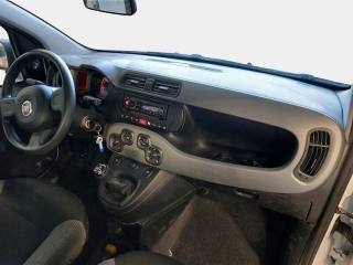 FIAT Panda usata, con ESP
