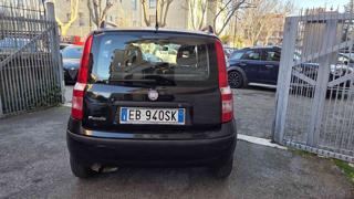 FIAT Panda usata, con Alzacristalli elettrici